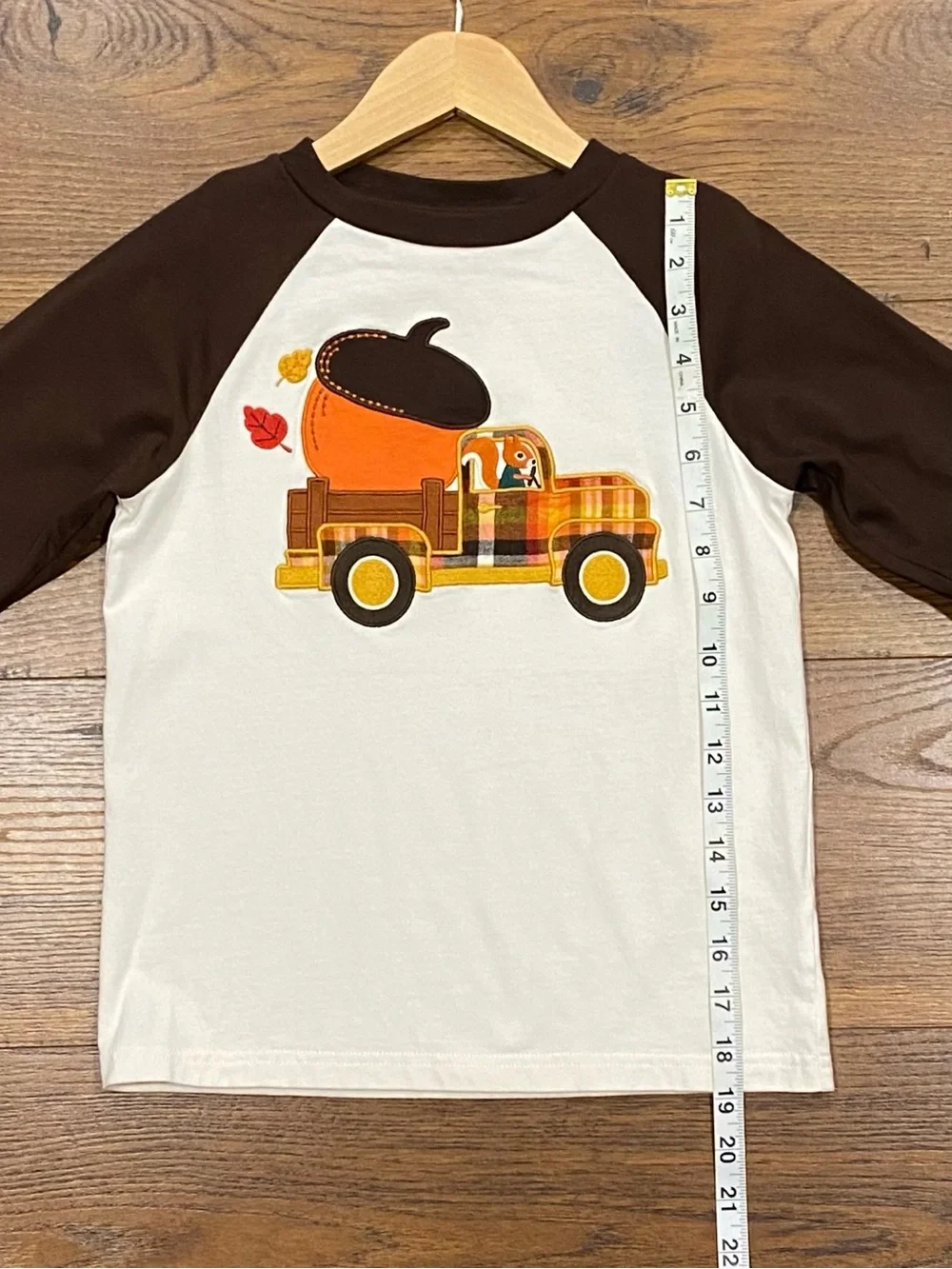 Gymboree Boys ‘Happy Harvest’ Embroidered Brown and White Raglan Top Size 7